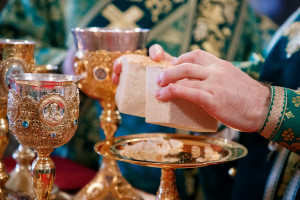 Божественная литургия и великая вечерня в Свято-Троицком кафедральном соборе г. Саратова