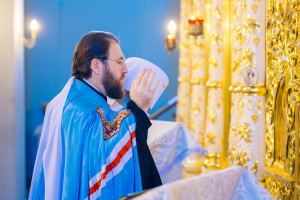 Митрополит Игнатий и митрополит Владимир совершили Божественную литургию в Свято-Духовском соборе г. Саратова