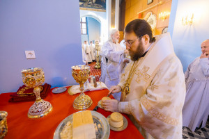 Митрополит Игнатий и митрополит Владимир совершили Божественную литургию в Свято-Духовском соборе г. Саратова