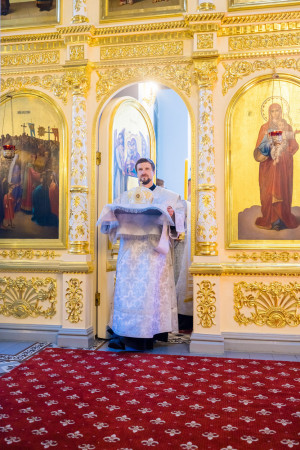 Митрополит Игнатий и митрополит Владимир совершили Божественную литургию в Свято-Духовском соборе г. Саратова