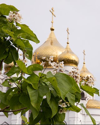 Митрополит Игнатий совершил Божественную литургию в Свято-Иоанновском женском монастыре с. Алексеевка Хвалынского района