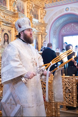 Митрополит Игнатий совершил великую вечерню в соединении с Литургией святителя Василия Великого в Свято-Троицком соборе г. Саратова