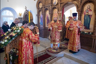 Митрополит Игнатий совершил Божественную литургию в храме святых бессребреников и чудотворцев Космы и Дамиана г. Саратова