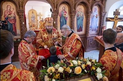 Митрополит Игнатий совершил Божественную литургию в храме святых бессребреников и чудотворцев Космы и Дамиана г. Саратова