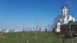 Прихожане саратовских храмов разбили сад в Солнечном