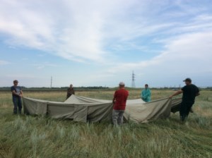 Крестный ход Балашов — Вавилов Дол прошел через Саратов