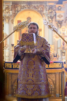 Митрополит Игнатий совершил Божественную литургию в Свято-Духовском соборе г. Саратова
