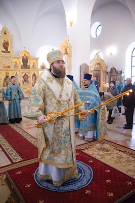 Митрополит Игнатий совершил Божественную литургию в храме в честь Рождества Христова г. Саратова