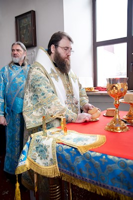Митрополит Игнатий совершил Божественную литургию в храме в честь Рождества Христова г. Саратова
