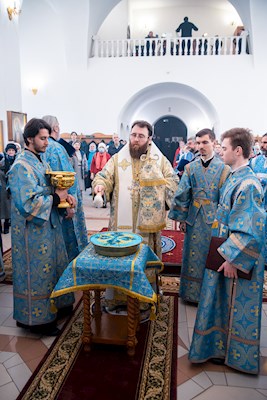 Митрополит Игнатий совершил Божественную литургию в храме в честь Рождества Христова г. Саратова