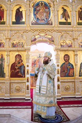 Митрополит Игнатий совершил Божественную литургию в храме в честь Рождества Христова г. Саратова