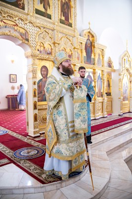 Митрополит Игнатий совершил Божественную литургию в храме в честь Рождества Христова г. Саратова