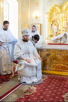 Божественная литургия в Покровском соборе г. Саратова