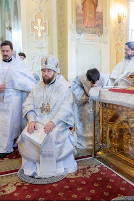 Божественная литургия в Покровском соборе г. Саратова