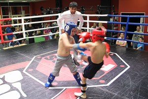Клуб «Патриот» организовал Открытый кубок по кикбоксингу