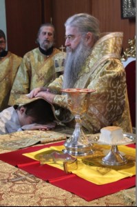 Божественная литургия в Духосошественском кафедральном соборе г. Саратова