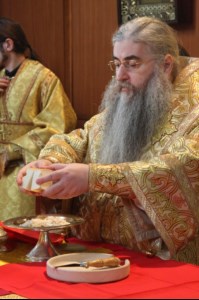Божественная литургия в Духосошественском кафедральном соборе г. Саратова