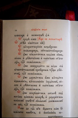 Великая вечерня в соединении с Литургией святителя Василия Великого в Свято-Троицком кафедральном соборе г. Саратова