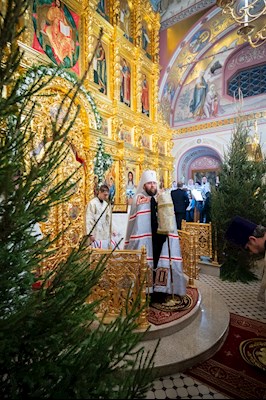 Митрополит Игнатий совершил рождественскую Литургию