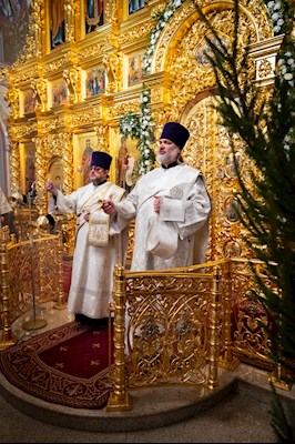 Митрополит Игнатий совершил рождественскую Литургию