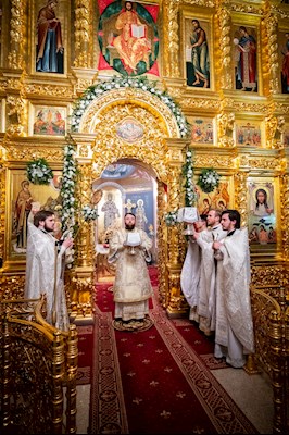 Митрополит Игнатий совершил рождественскую Литургию