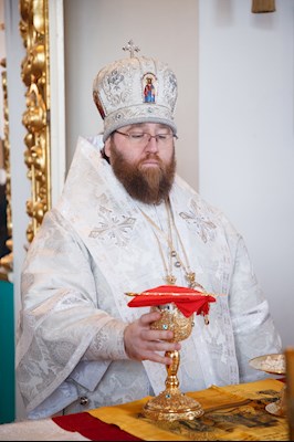 Митрополит Игнатий совершил Божественную литургию в храме Архангела Михаила с. Михайловка