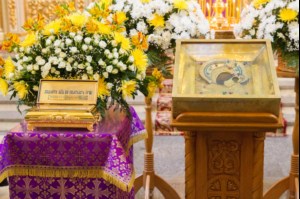 Встреча Вышенских святынь в Покровском храме Саратова