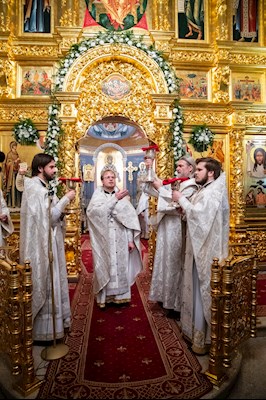 Митрополит Игнатий совершил рождественскую Литургию