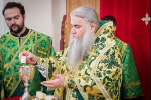 Божественная литургия в Свято-Иоанновском женском монастыре с. Алексеевка