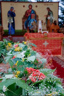 Божественная литургия в Вавиловом Доле