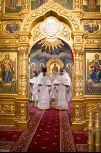 Крещальная литургия в Свято-Троицком кафедральном соборе Саратова