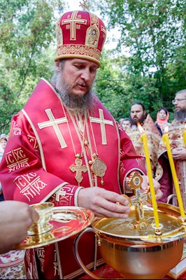Божественная литургия в Вавиловом Доле