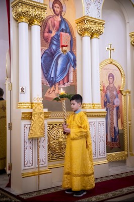 В Саратове встретили частицу мощей святителя Спиридона Тримифунтского