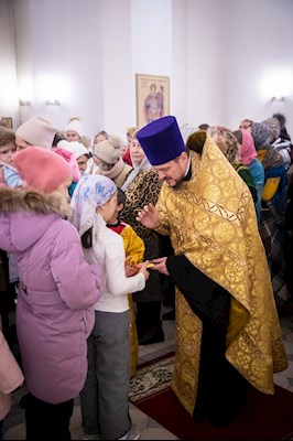 В Саратове встретили частицу мощей святителя Спиридона Тримифунтского