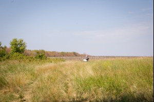 Крестный ход Саратов — Вавилов Дол завершился