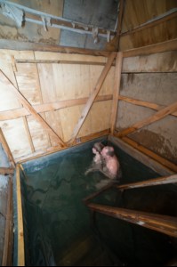 Крещение Господне в Сретенском храме Саратова