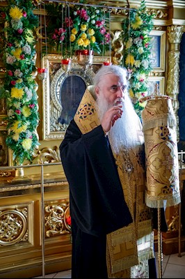 Молебен в Свято-Троицком кафедральном соборе г. Саратова