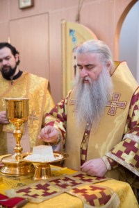 Митрополит Саратовский совершил Божественную литургию в храме во имя святителя Митрофана Воронежского города Саратова