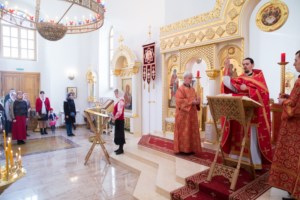 Совершена Пасхальная Литургия с сурдопереводом