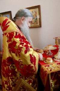 Божественная литургия в храме святых Царственных Страстотерпцев п. Дубки Саратовского района
