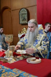 Божественная литургия в Духосошественском соборе Саратова