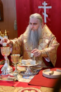 Божественная литургия в Духосошественском кафедральном соборе Саратова