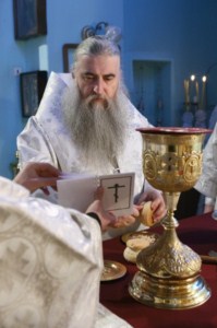 Божественная литургия в Духосошественском кафедральном соборе Саратова