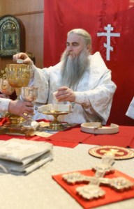 Божественная литургия в Духосошественском кафедральном соборе Саратова