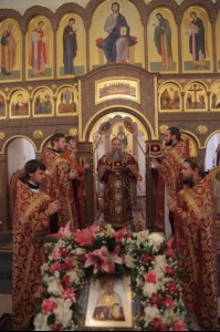 Божественная литургия в храме в честь Рождества Христова с. Рыбушка Саратовского района