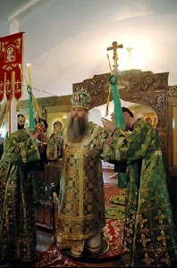 Архипастырская поездка в село Криволучье