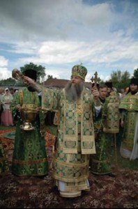 Архипастырская поездка в село Криволучье