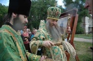Архипастырская поездка в село Криволучье