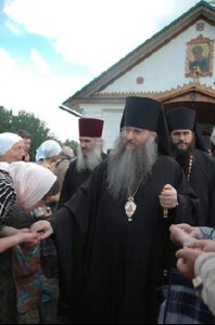 Архипастырская поездка в село Криволучье