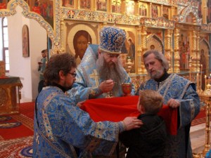 В Саратовскую епархию прибыли святыни Свято-Введенского Толгского монастыря
